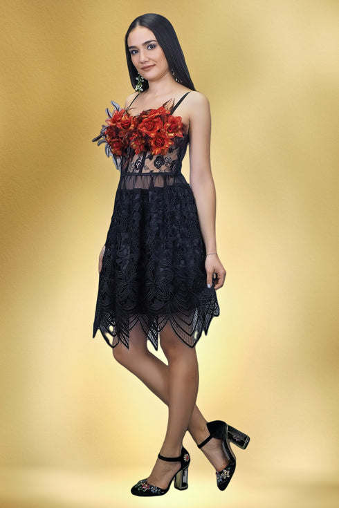 Rochie dantela si fori pictate S77